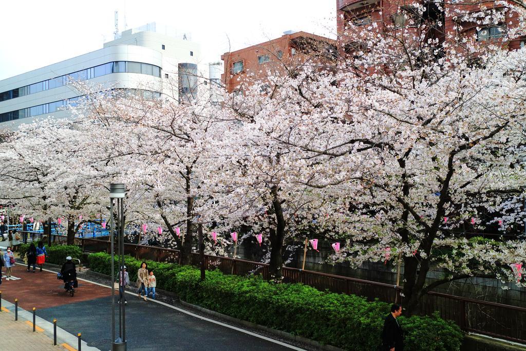 Coto Tokyo Shibuya Tóquio Exterior foto